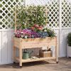 Wooden Mobile Raised Garden Bed on Wheels with Trellis