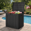 30 Gallon Outdoor Storage Box, Weatherproof Lockable Resin Deck Box for Patio Furniture, Pool Accessories, Garden Tools and Supplies, Black
