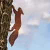 CIFbuyRusty Squirrel Branch Insert - Unique Tree Decor for Garden
