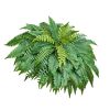Artificial Ferns, 50 Inch Fake Boston Fern Bush Plant with 96 Fronds, Large Faux Greenery for Indoor and Outdoor Decor, Silk & LDPE