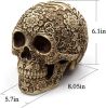Halloween Skull Decoration - Realistic 8.2" Life Size Skeleton Head Prop for Indoor & Outdoor, Durable Plastic Skull Statue for Haunted House, Party