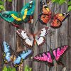 Metal Butterfly Wall Decor - 5 Pack Lifelike Butterflies Wall Art Sculpture Hanging Decorations for Indoor or Outdoor