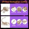 Halloween 2PCS Spider and 2PCS Scorpion Skeleton