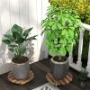 4 Pack Rolling Plant Caddies with Locking Casters, 13.4 Inch Heavy Duty Metal Plant Dollies