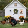 Funny Chicken Sign Don't Ruffle My Feathers, Gift for Chicken Lovers, Farmhouse Wall Decor for Home Coop Garden