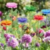 Pollinator Waterer for Bees Butterflies, Weatherproof Iron Garden Water Stakes with Anti-Drowning Basin