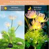 4 Pack Solar Garden Lights Outdoor, Solar Flower Lights for Yard with Lighting Modes, Glowing Flowers & Stems