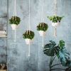 4 PCS Heavy Duty Hanging Plant Holder Natural Cotton Rope Planter Basket with Hanging Ring