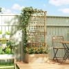 Wooden Raised Garden Bed with Trellis and Roof, Elevated Planter Box with 2 Shelves, Drainage Hole and Liner, Natural
