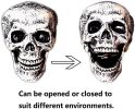 Halloween Decorations for Lawn Stakes Garden Halloween Skeleton Decoration