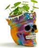 Hand Painted Pirate Skull Planter, Gothic Planter, Unique Small Skeleton Flower Pot Indoor/Outdoor with Drainage