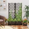 Raised Garden Bed with Trellis Planter Box for Climbing Plants