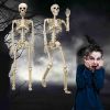 2 Pack 36"Halloween Skeleton - 3 ft Life Size Human Skeleton with Full Body Posable Joints Plastic Skeleton for Halloween Skeletons Decor Yard Patio L